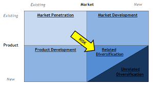 type of diversification of strategy with examples